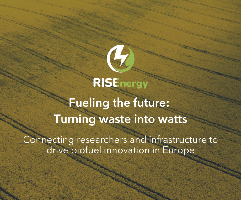 Turning waste into watts: How biofuels can fuel the future